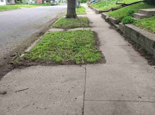 Sheila M.'s Grass Cutting service result