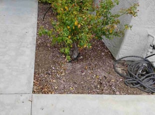 Weeding by Dustyn Roberts for Amanda C. in Oceanside, CA