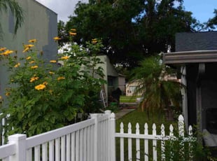 Bush Trimming by AL Webb for Robby M. in Tampa, FL