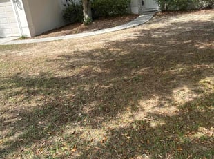 Cleanups by Patrick Paul for Jessica s. in Minneola, FL
