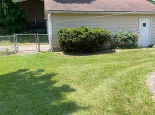 Bush Trimming by Darren Mudget for Jean B. in Lansing, MI
