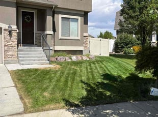 Angela W.'s Lawn Service service result