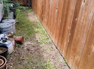 Weeding by Kassandra Winters for Alan K. in Arlington, TX