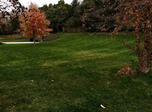 Leaf Removal by Ryan Reitzel for David J. in Woodbury, MN