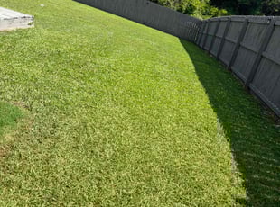 Lisa S.'s Lawn Service service result