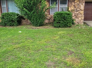 Bush Trimming by Charles Brown for Linda G. in Wichita, KS