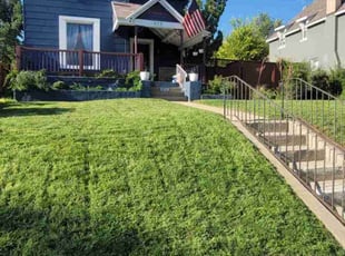 Zach F.'s Lawn Service service result