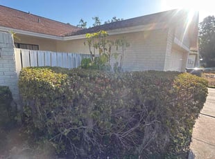 Bush Trimming by Ramon Taguja for Linda R. in Brandon, FL