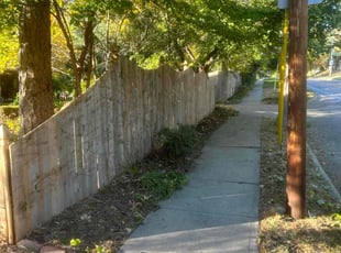 Bush Trimming by Quinn Mendlik for Justin M. in Omaha, NE