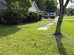 Bush Trimming by Jerry Wells for Adam V. in Zachary, LA