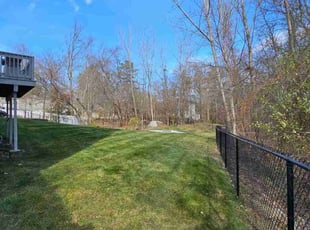Rob H.'s Lawn Mowing service result