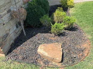 Weeding by Cesar Zuniga for Sarah I. in Mustang, OK