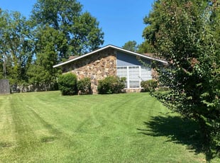 Carlos H.'s Lawn Mowing service result