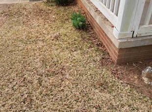 Weeding by Clyde Scotton for James B. in Siler City, NC