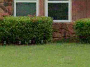 Bush Trimming by Anthony Barr for Edwina B. in Tulsa, OK