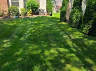 Leaf Removal by Aaron Bergman for Hanan H. in Westerville, OH