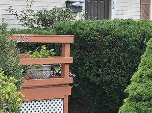 David B.'s Bush Trimming service result
