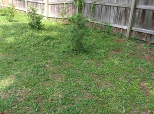 Weeding by Enrique Juarez for Takuma K. in Marietta, GA