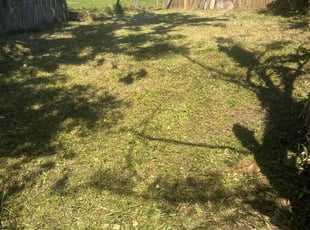 Cleanups by Thomas Farley for Jessanne S. in Bradenton, FL
