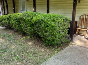 Bush Trimming by Andrew White for Arion M. in Ellenwood, GA