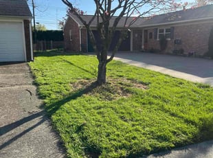 Dwayne S.'s Yard Cutting service result