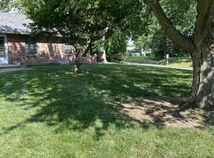 Saurabh B.'s Lawn Maintenance service result