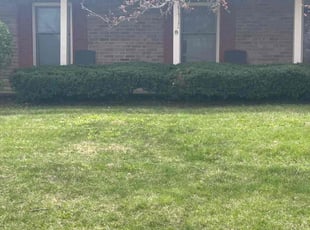 Bush Trimming by Tristan Spradlin for Justin F. in Lexington, KY