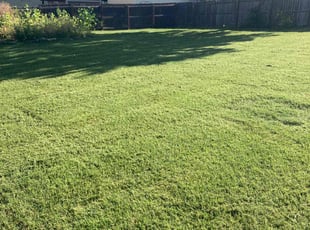 Michael B.'s Lawn Service service result