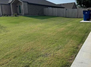Lori H.'s Lawn Service service result