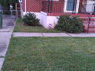 Bush Trimming by CHARLES VAUGHN for Kiyanna H. in Baltimore, MD