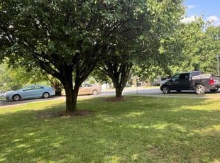Bush Trimming by Joshua Christopher for LaToya F. in Charlotte, NC