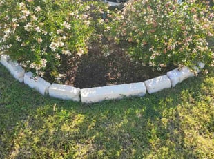 Weeding by Josue Perez Rios for Linda W. in Jarrell, TX