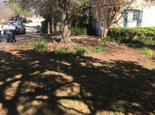 Cleanups by Chaes Pate for Ray S. in San Antonio, TX