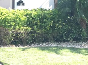 Bush Trimming by Jarvis Howell for Brandon J. in Melbourne, FL