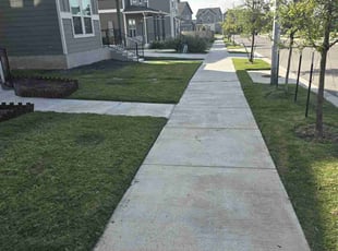 Denise H.'s Lawn Service service result