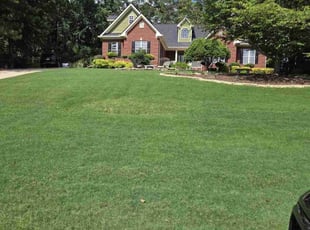 Radha K.'s Bush Trimming service result