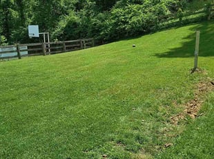 Joel N.'s Lawn Mowing service result