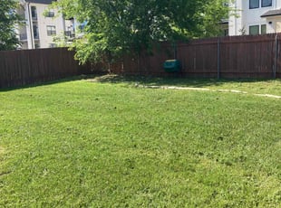 Jacqueline D.'s Lawn Mowing service result