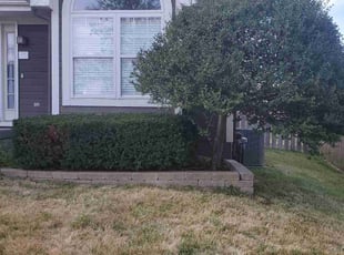 Bush Trimming by Vess Schine for Stephanie S. in Kansas City, MO