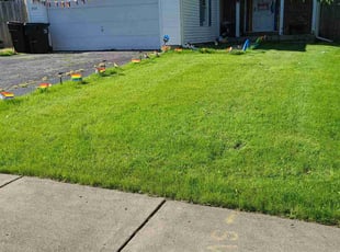 Todd D.'s Lawn Care service result