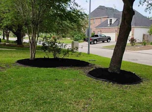 Mulching by Hector Cruz for Nick V. in Spring, TX