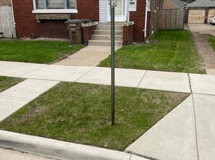 NOSLEN A.'s Lawn Care service result