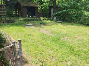 Cleanups by Bryan Watson for Laurence S. in Durham, NC