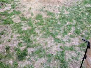 Cleanups by Jason Bickler for Ellen S. in Longmont, CO
