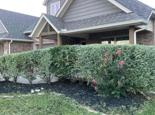 Bush Trimming by Jessie Revilla Sanchez for Naseem H. in Edmond, OK