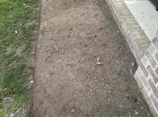 Weeding by Steven Moreira for Kimberly C. in Chesapeake, VA