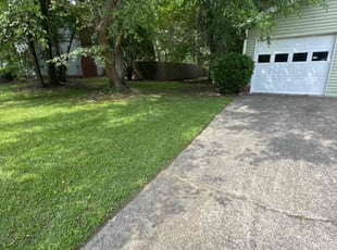 Leaf Removal by Vitaliy Brylev for Michael A. in Charlotte, NC