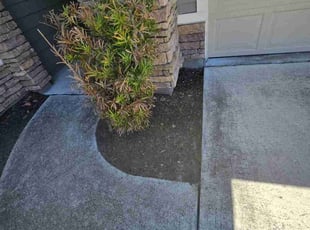 Weeding by Michael Thomas for Keenan J. in Jacksonville, FL