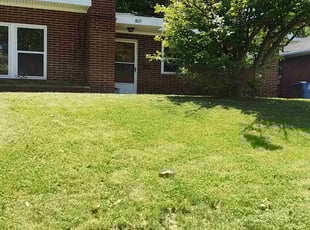 Don L.'s Lawn Service service result