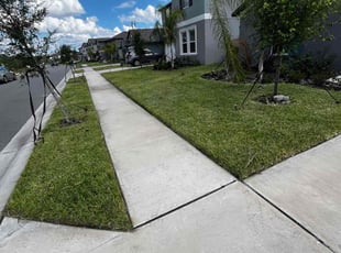 Irene F.'s Lawn Mowing Service service result